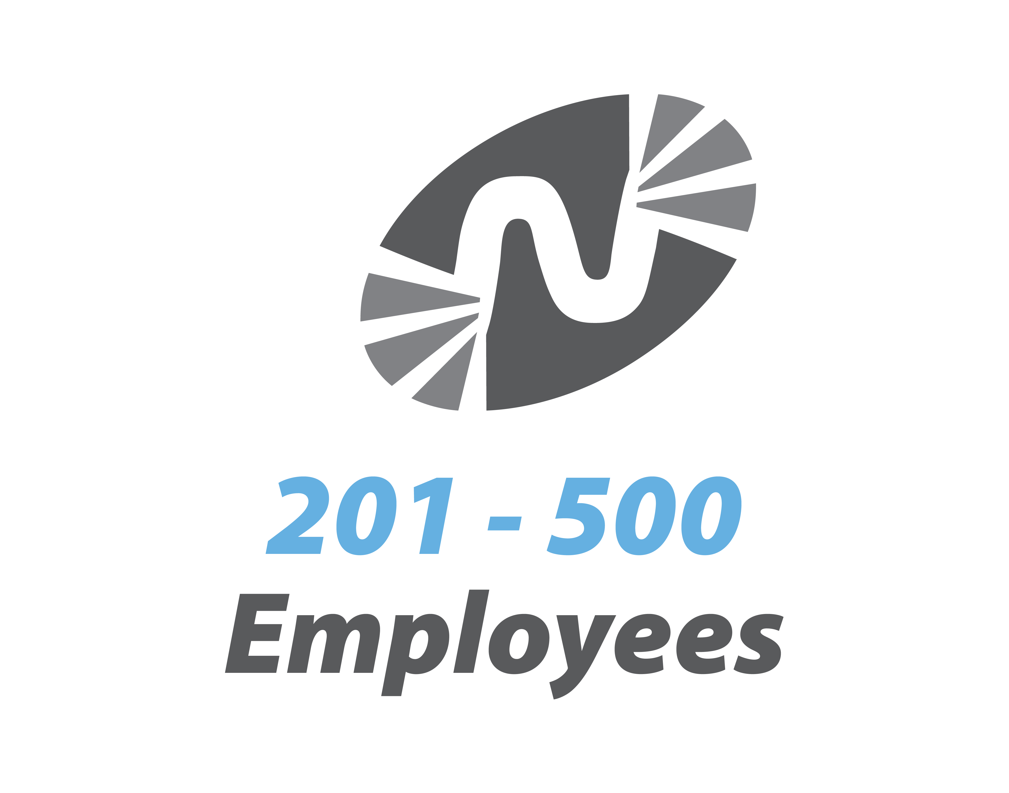 201-500 Employees | Status Solutions Network
